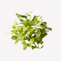 Shredded Lettuce