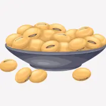 McDonald's Soy Allergen